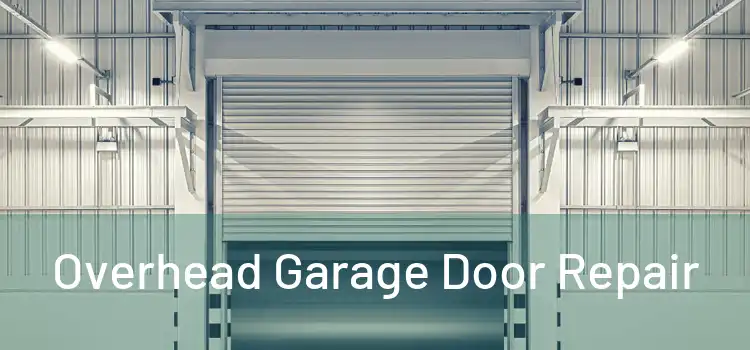  Overhead Garage Door Repair 